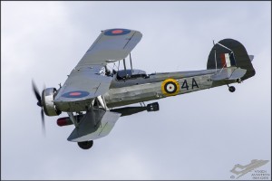 d75_1198